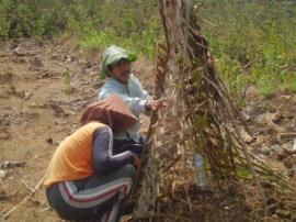 Kegiatan Penangulangan Lahan Kritis di Desa Giritirto 