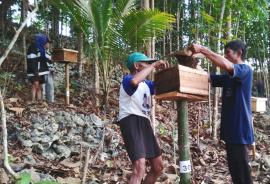 KTH Ngudi Rajeki I Ternak Lebah Madu