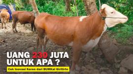 Uang 230 Juta untuk apa ? Cek Inovasi Kerem BUMKal Tirtosari Giritirto