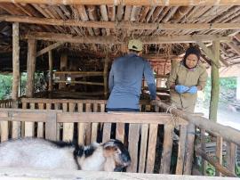 UPT PUSKESWAN PANGGANG MELAKSANAKAN YANDUWAN DI GIRITIRTO